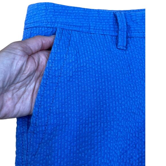 Talbots Girlfriend Chino Blue Seersucker Capri Pants Woman's Size 10P Button/Zip - Picture 6 of 11